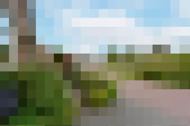 Korte Meentweg 7 Woerdense Verlaat thumbnail 31