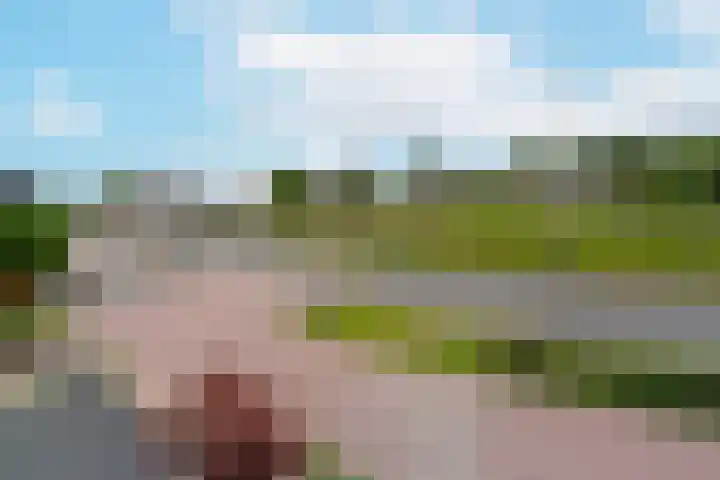 Korte Meentweg 7 Woerdense Verlaat thumbnail 37