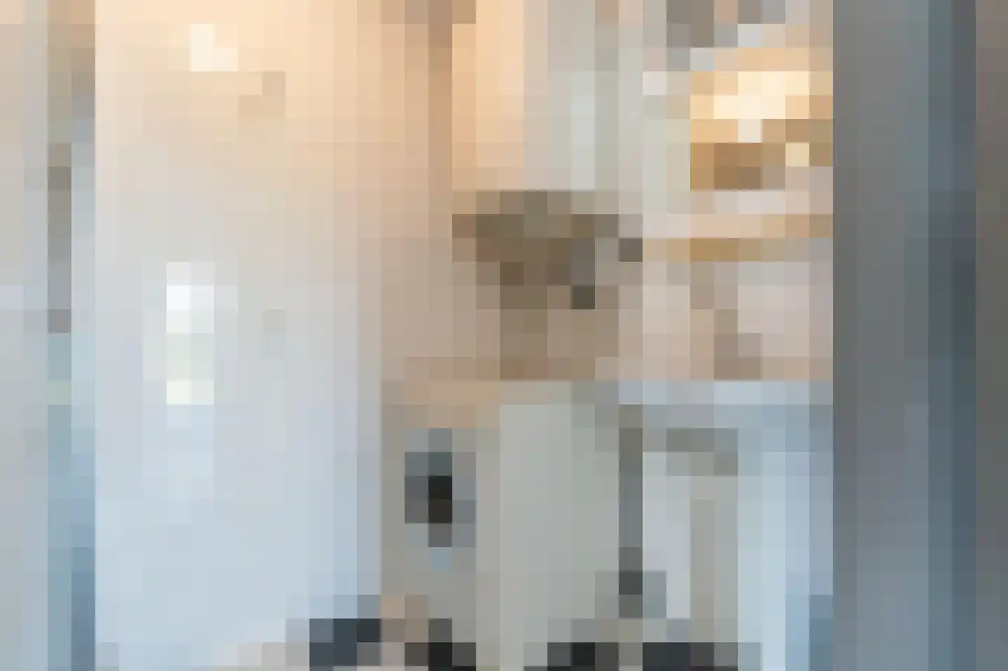 Korte Moermondsweg 23 0001 Renesse thumbnail 17