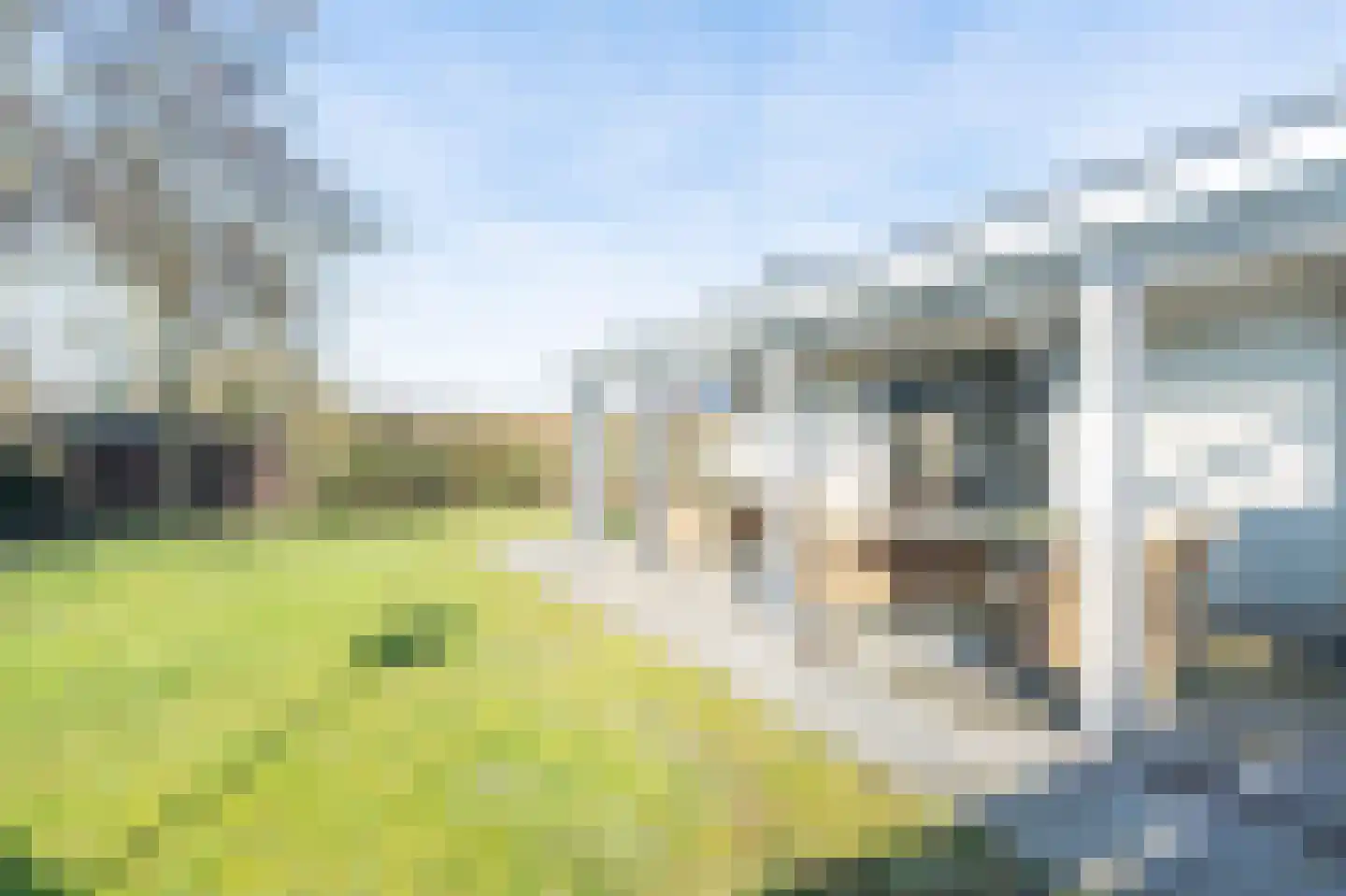 Korte Moermondsweg 23 0001 Renesse thumbnail 21
