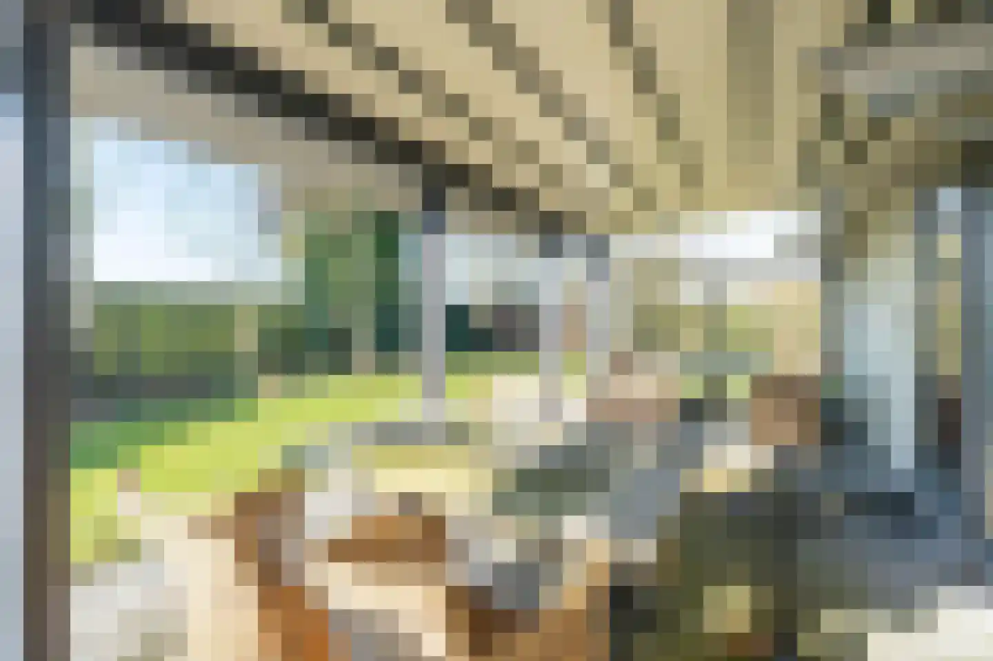 Korte Moermondsweg 23 0001 Renesse thumbnail 22