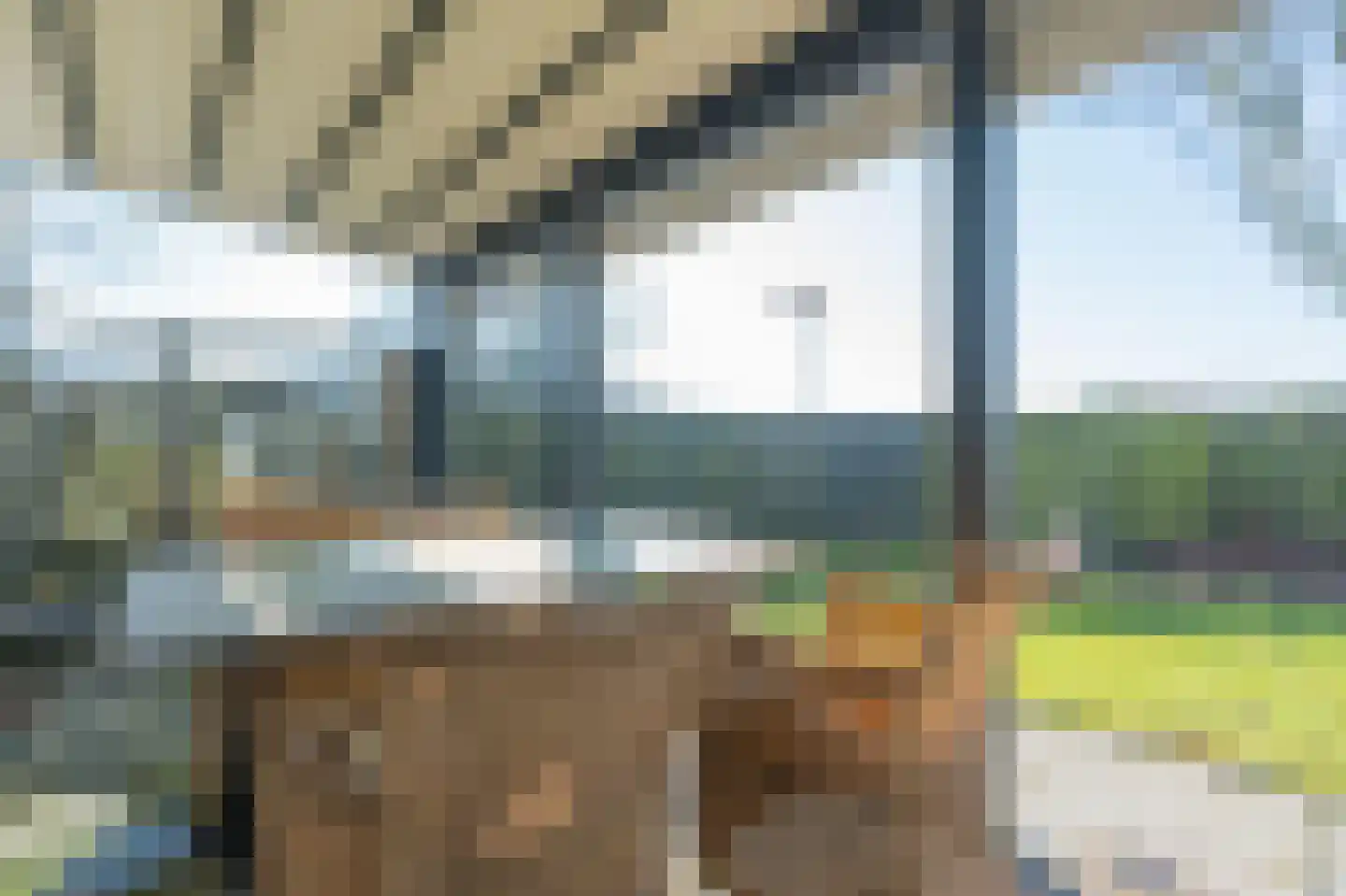 Korte Moermondsweg 23 0001 Renesse thumbnail 23