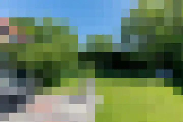 Korte Moermondsweg 23 0026 Renesse thumbnail 19