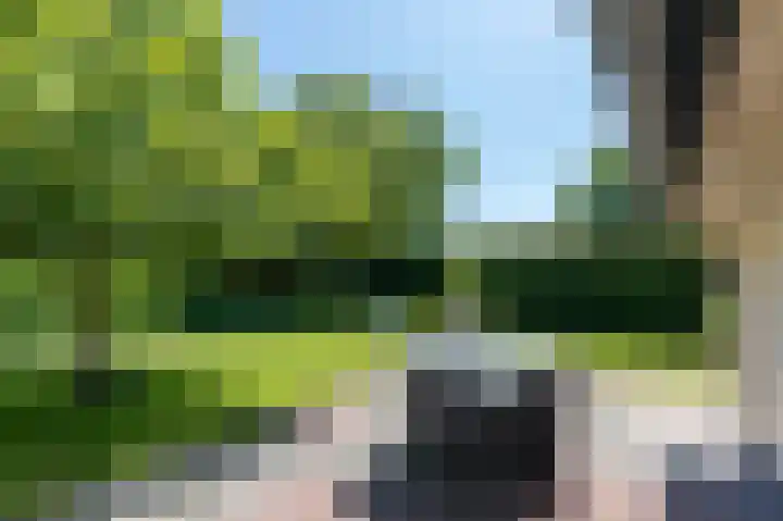 Korte Moermondsweg 23 0026 Renesse thumbnail 20