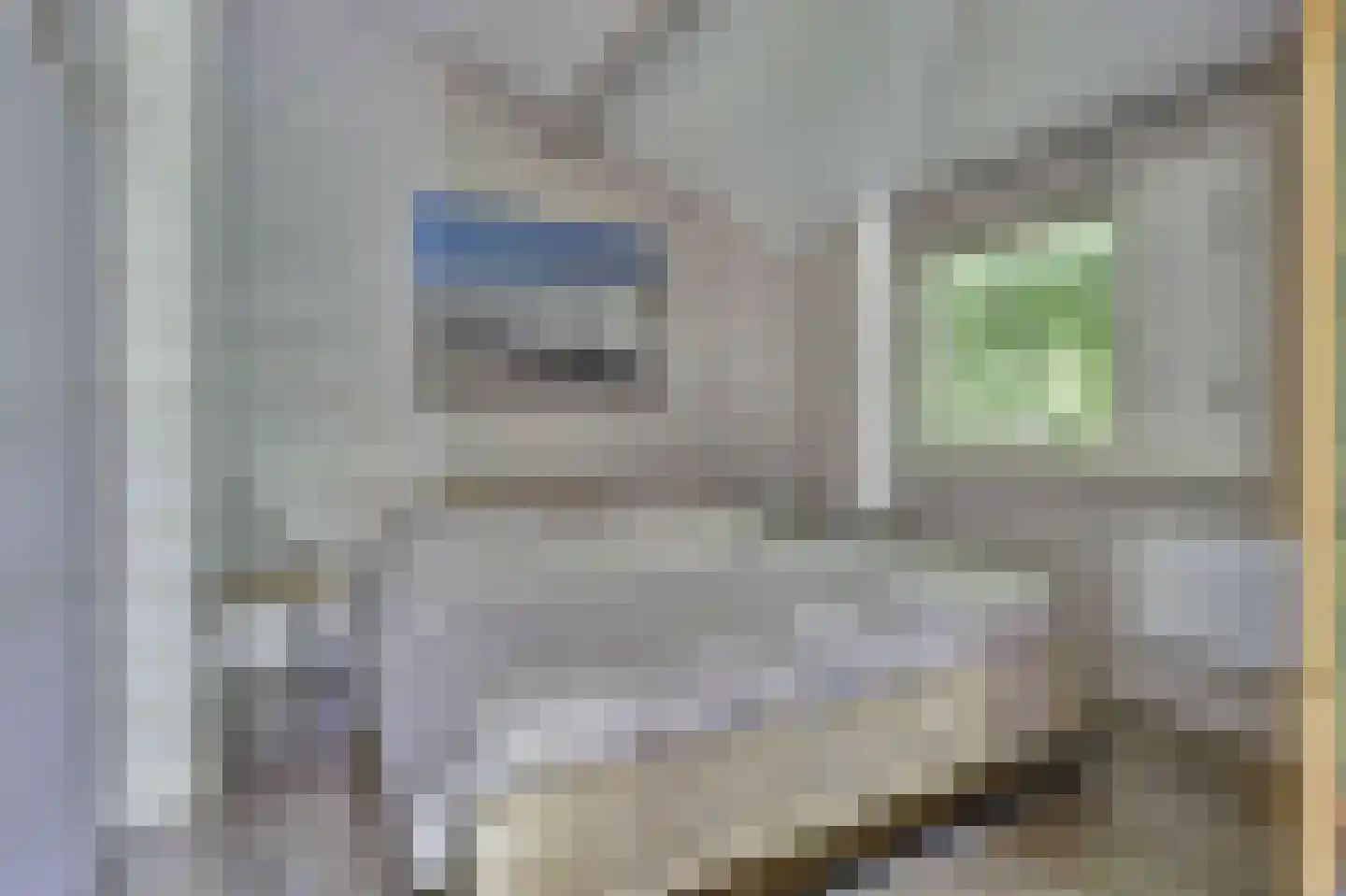 Korte Moermondsweg 23 0031 Renesse thumbnail 10