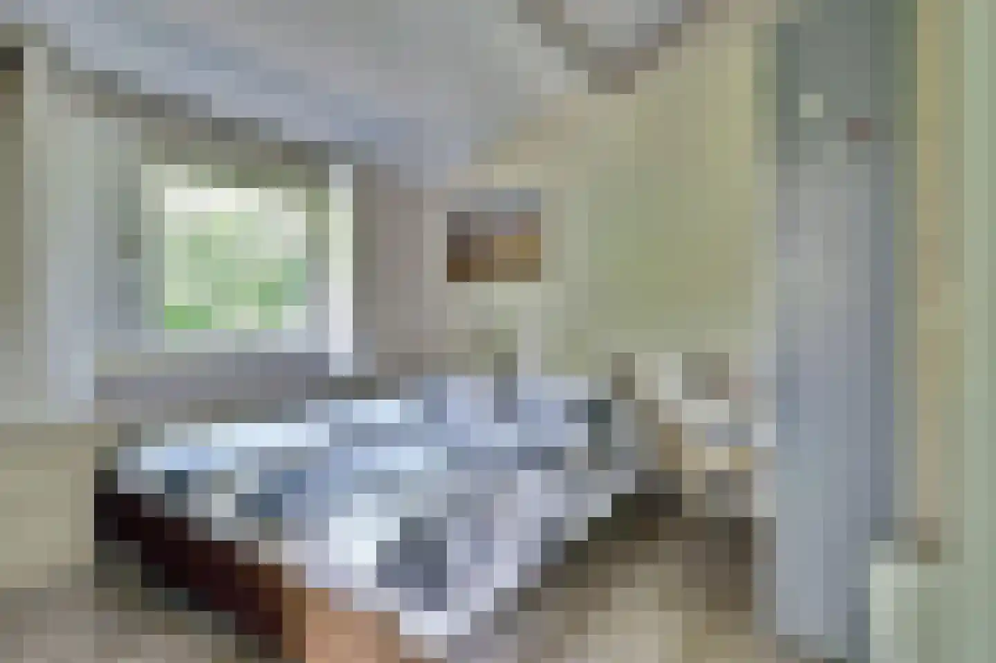 Korte Moermondsweg 23 0031 Renesse thumbnail 12