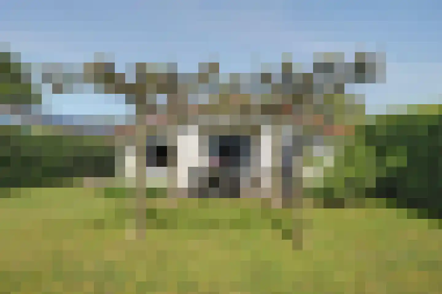 Korte Moermondsweg 23 0031 Renesse thumbnail 17