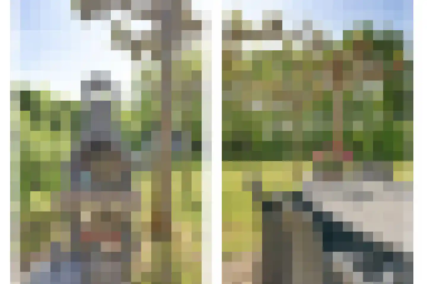 Korte Moermondsweg 23 0031 Renesse thumbnail 19