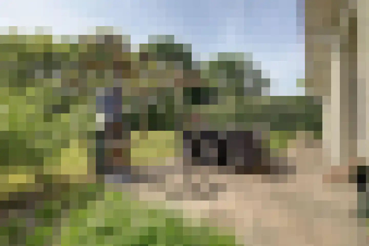 Korte Moermondsweg 23 0031 Renesse thumbnail 20