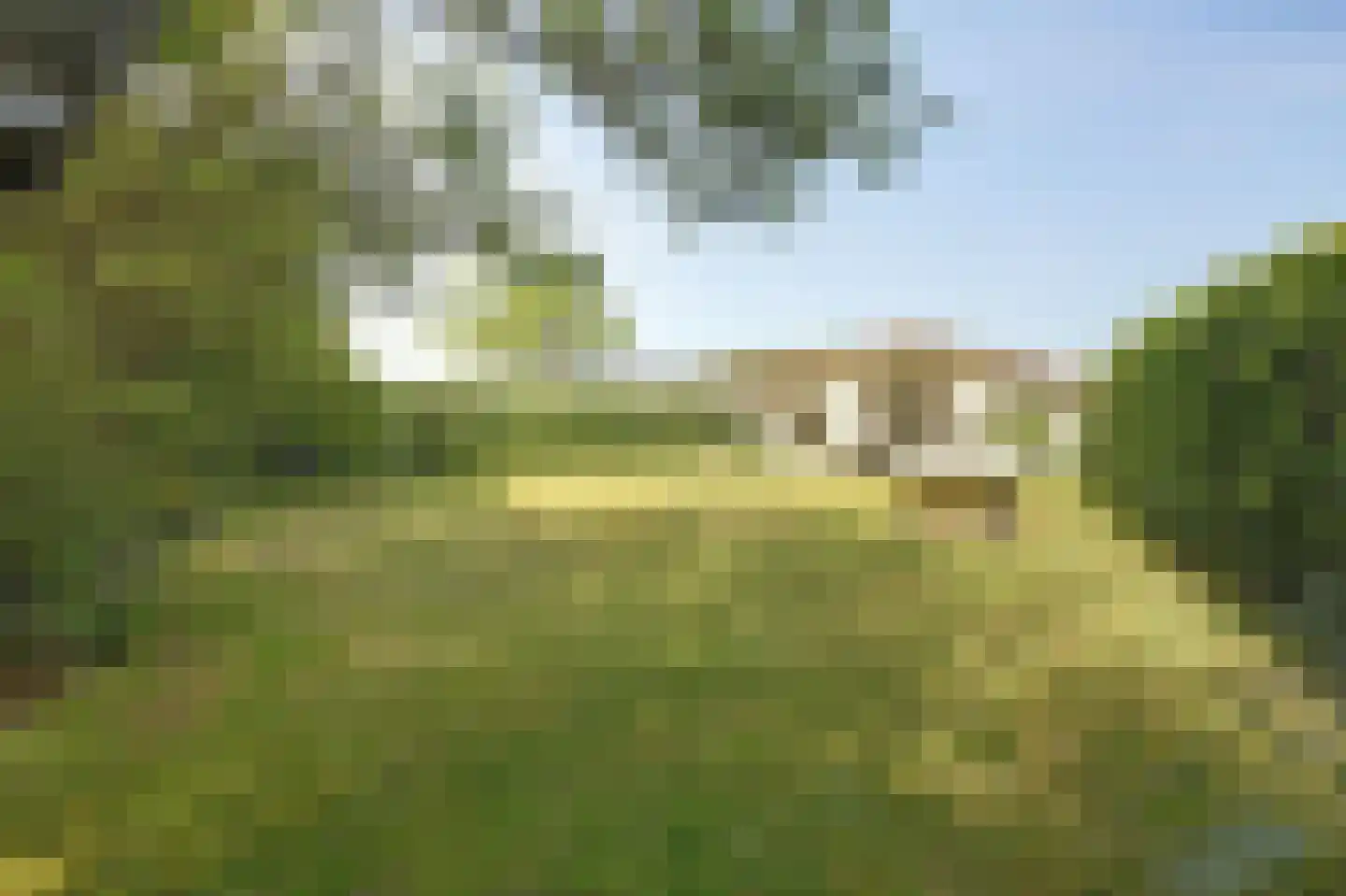 Korte Moermondsweg 23 0031 Renesse thumbnail 22