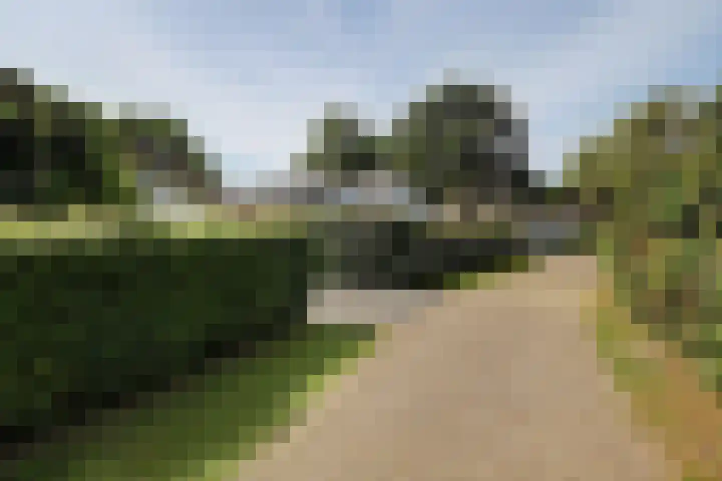 Korte Moermondsweg 23 0031 Renesse thumbnail 28