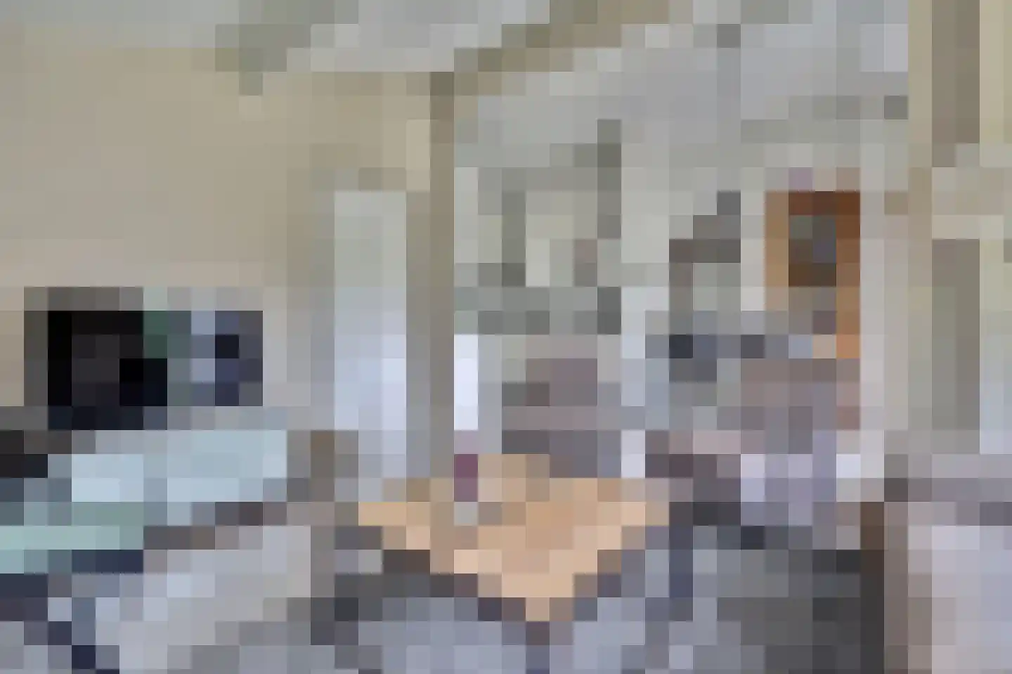 Korte Moermondsweg 23 0031 Renesse thumbnail 4
