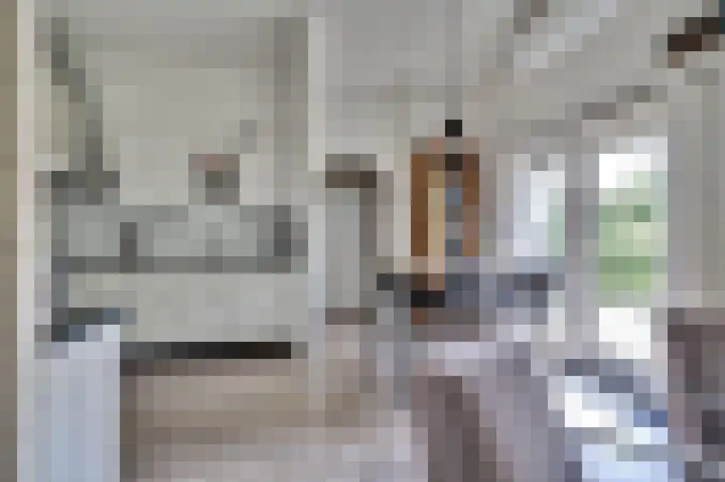 Korte Moermondsweg 23 0031 Renesse thumbnail 7