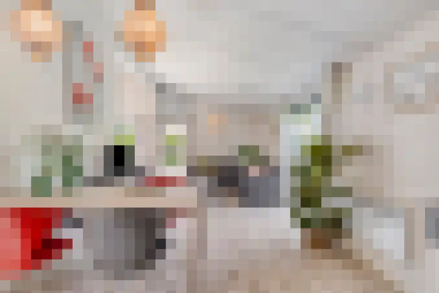 Korte Moermondsweg 23 0033 Renesse thumbnail 10