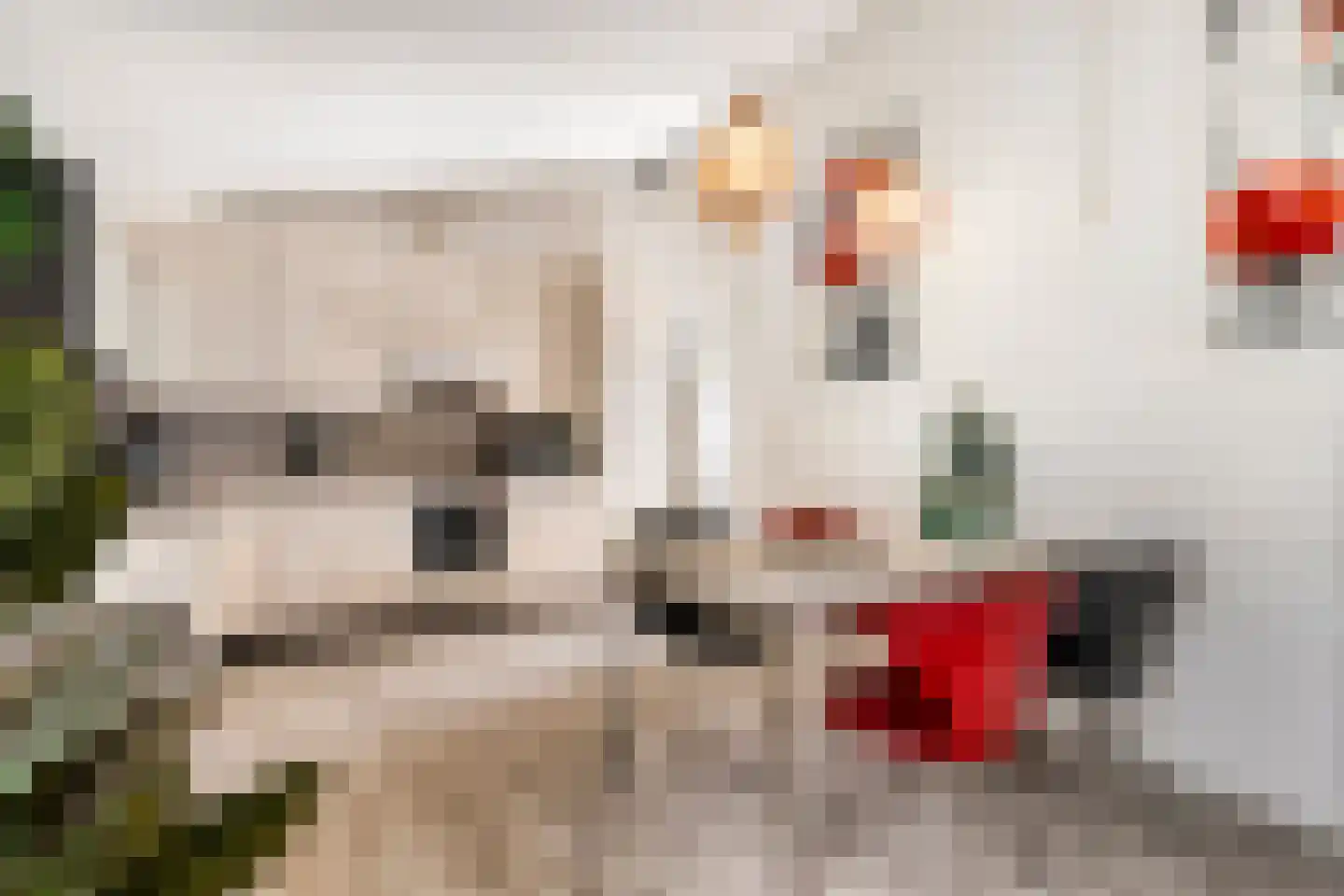 Korte Moermondsweg 23 0033 Renesse thumbnail 12