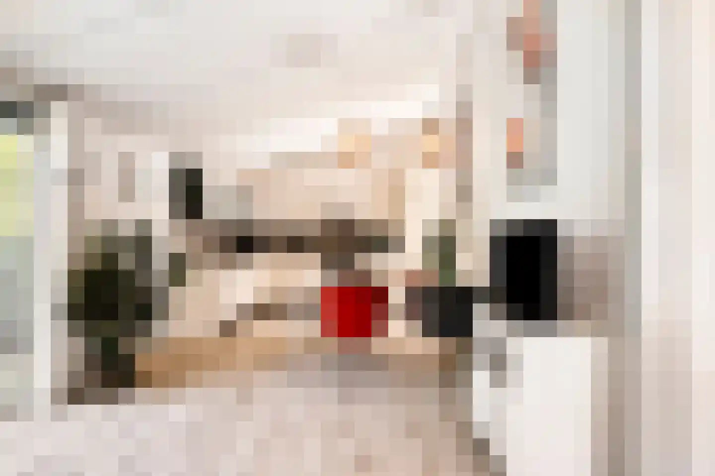 Korte Moermondsweg 23 0033 Renesse thumbnail 13