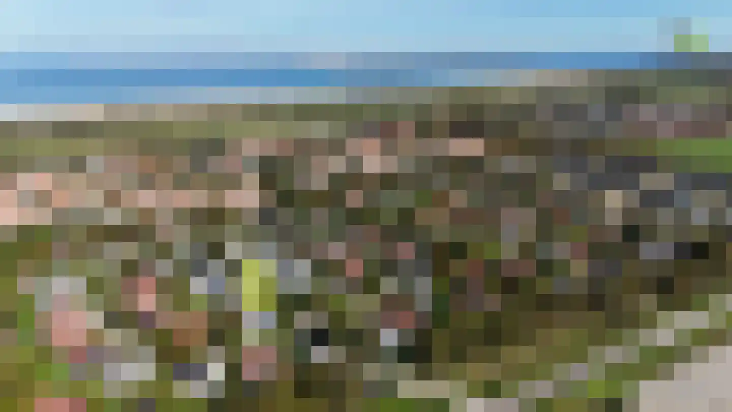 Korte Moermondsweg 23 0033 Renesse thumbnail 33