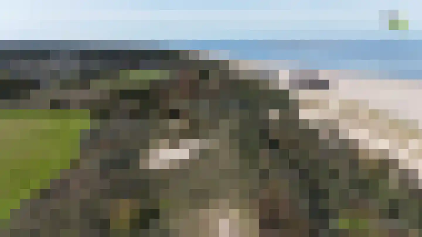 Korte Moermondsweg 23 0033 Renesse thumbnail 35