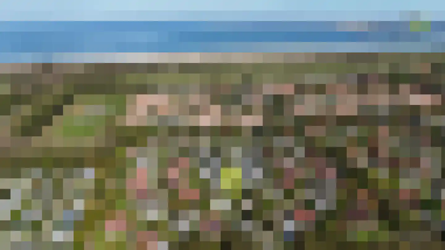 Korte Moermondsweg 23 0033 Renesse thumbnail 5