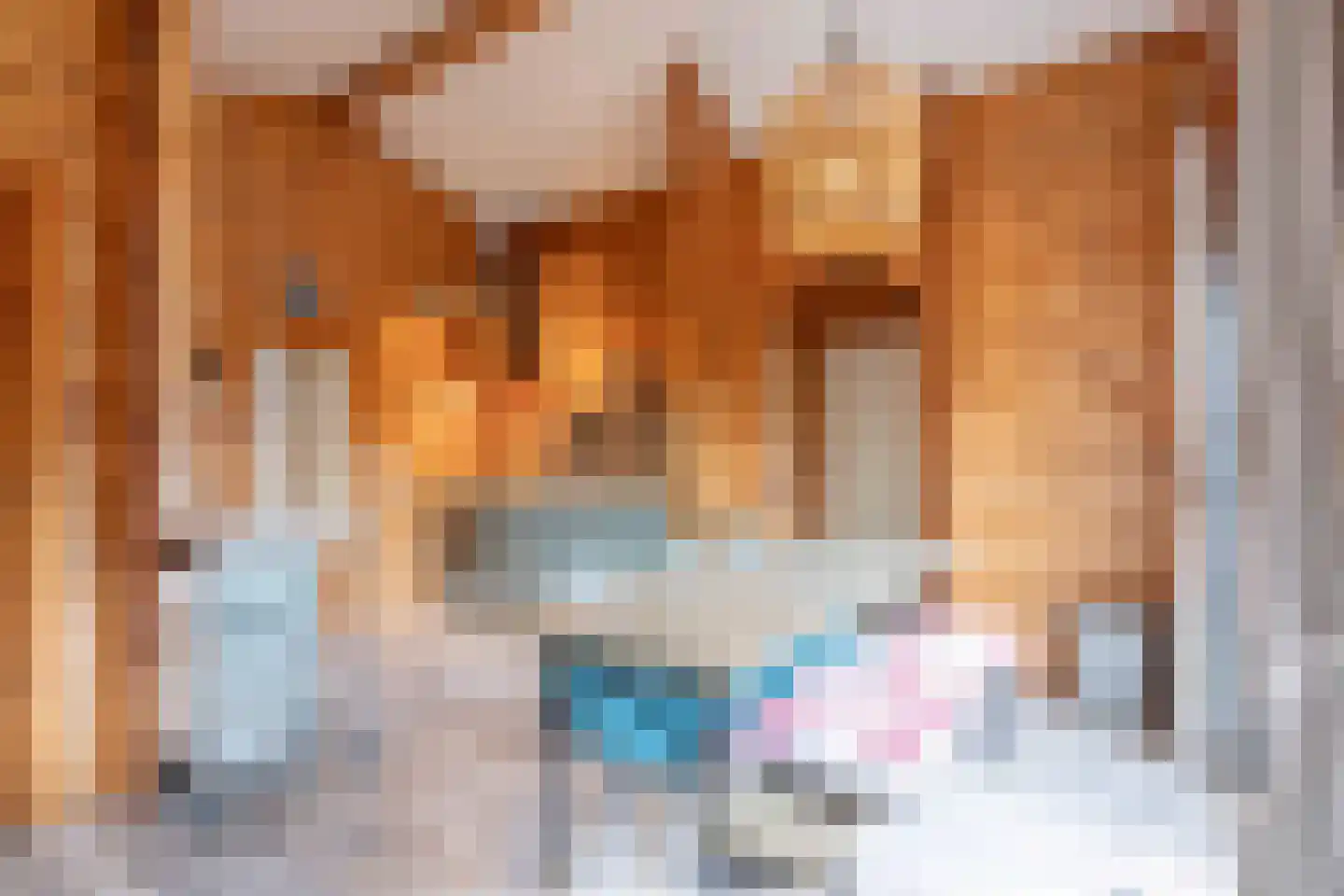 Korte Moermondsweg 23 0037 Renesse thumbnail 11