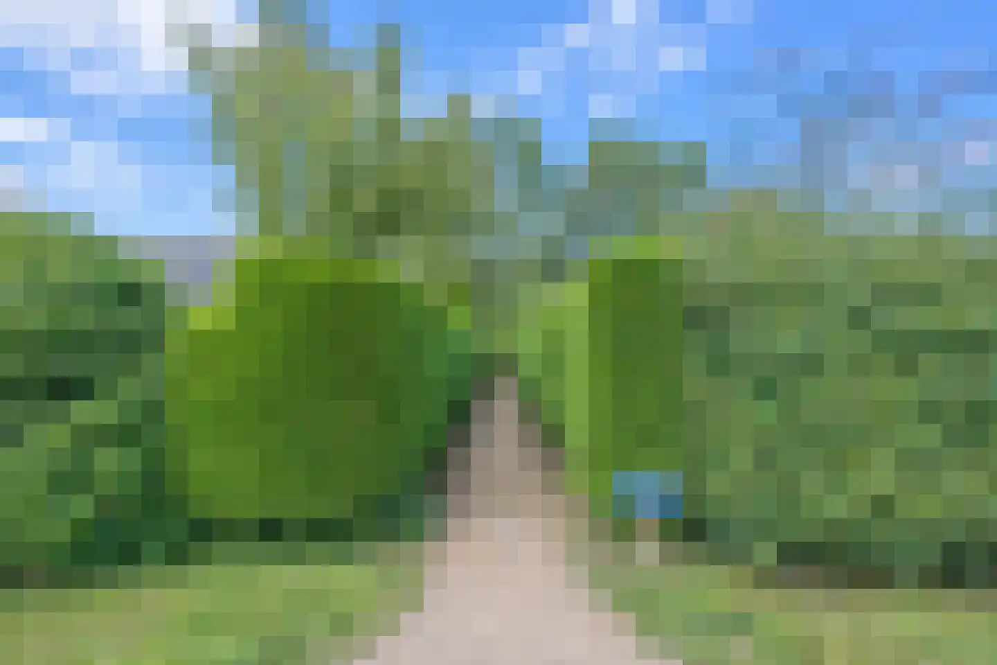 Korte Moermondsweg 23 0037 Renesse thumbnail 15