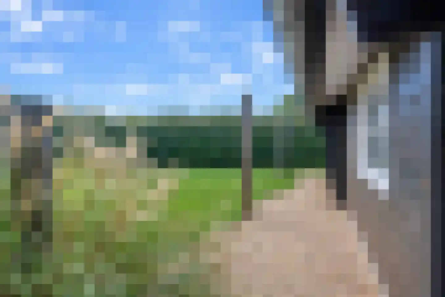 Korte Moermondsweg 23 0037 Renesse thumbnail 18
