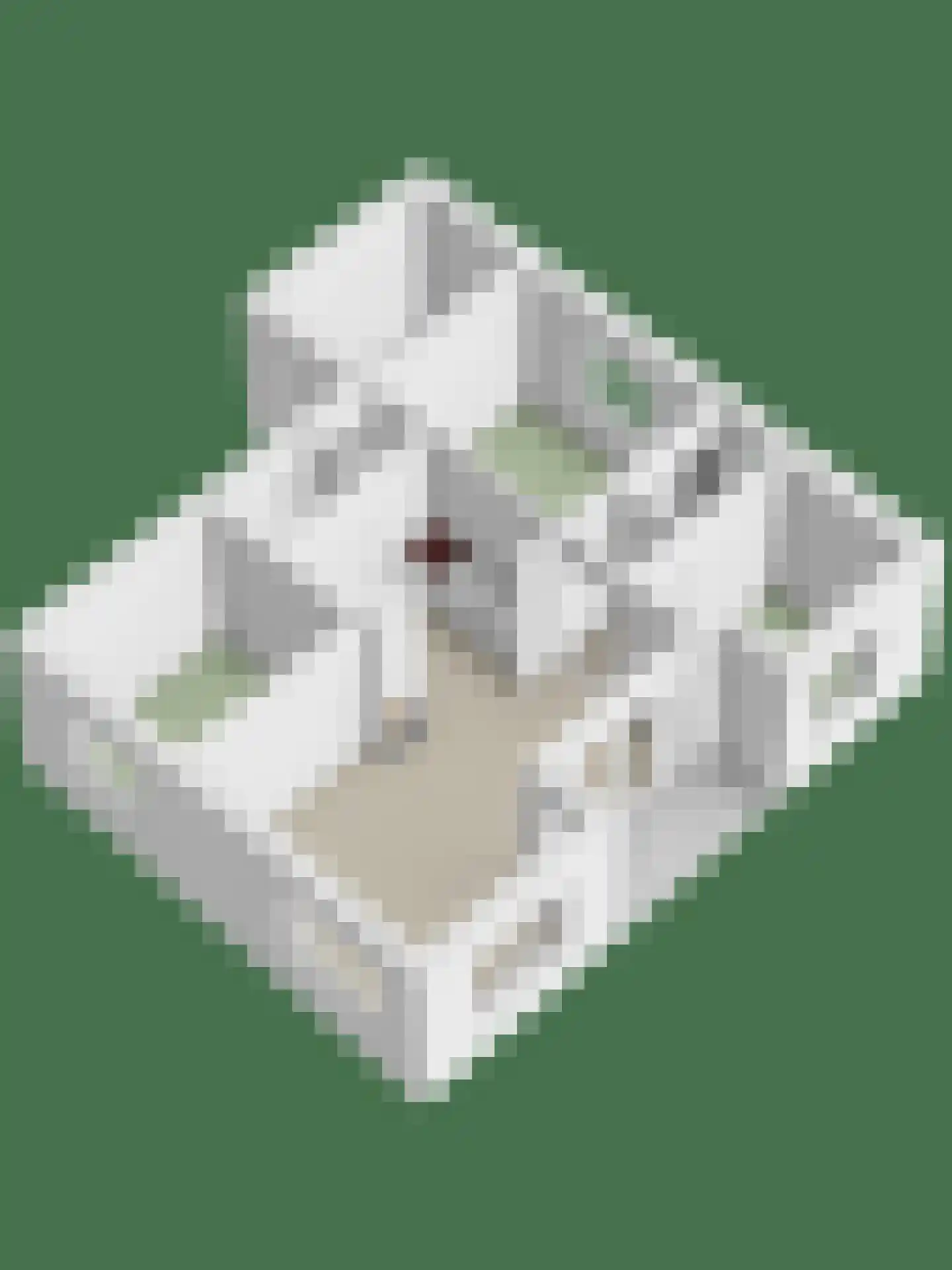 Korte Moermondsweg 23 0037 Renesse thumbnail 24
