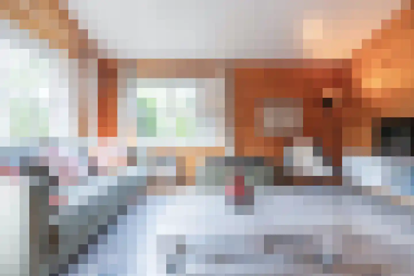 Korte Moermondsweg 23 0037 Renesse thumbnail 4