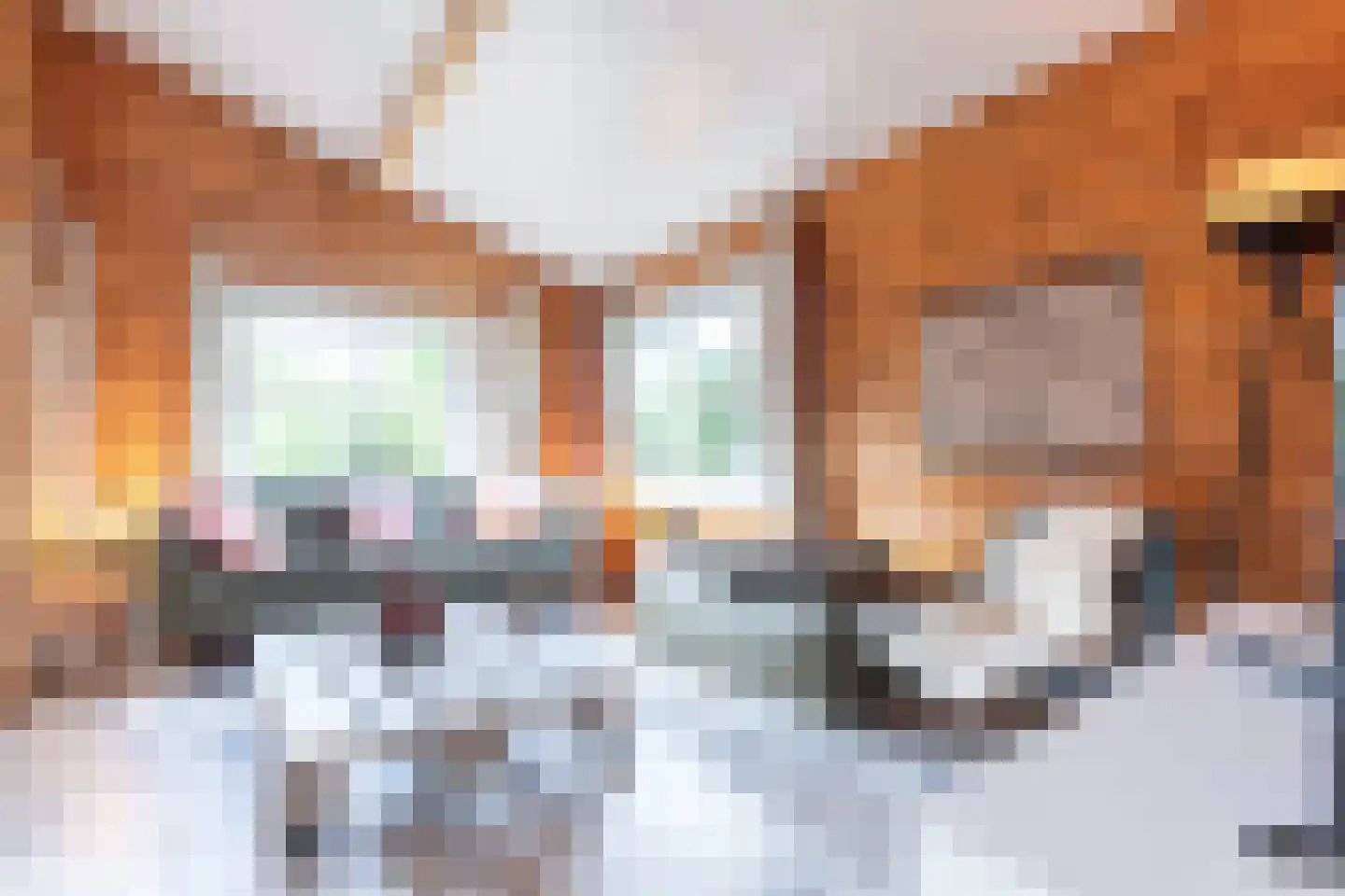 Korte Moermondsweg 23 0037 Renesse thumbnail 5