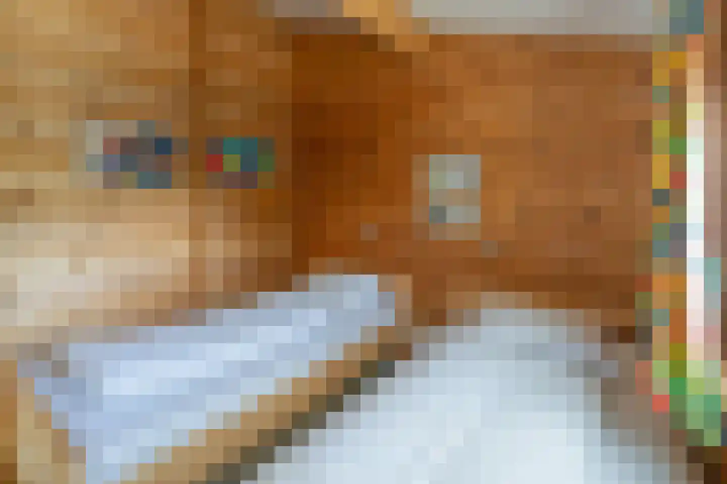 Korte Moermondsweg 23 0042 Renesse thumbnail 13