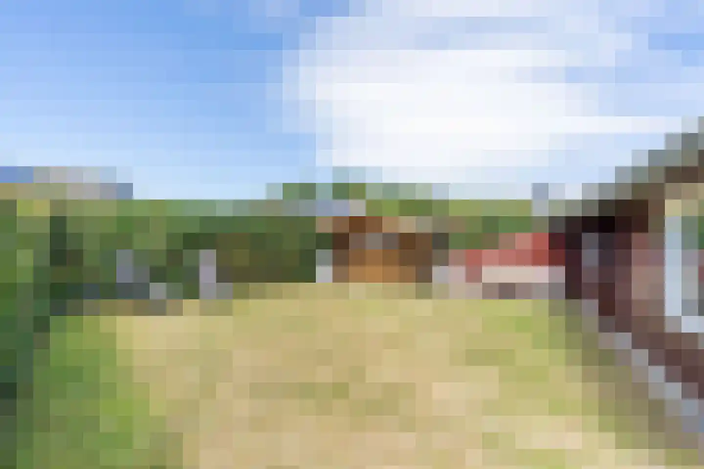 Korte Moermondsweg 23 0042 Renesse thumbnail 25