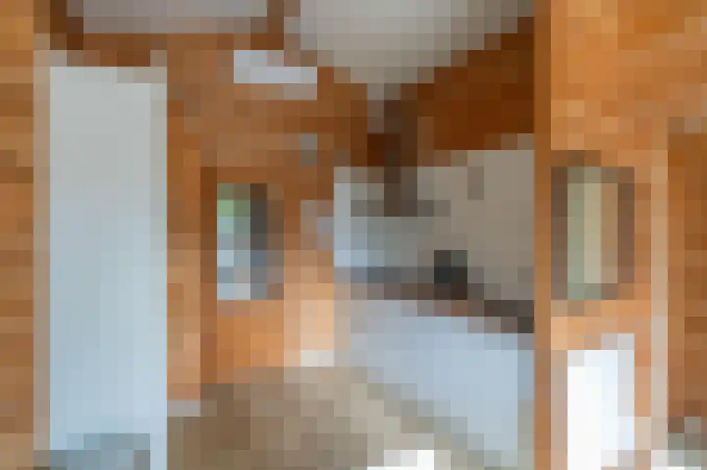 Korte Moermondsweg 23 0042 Renesse thumbnail 8