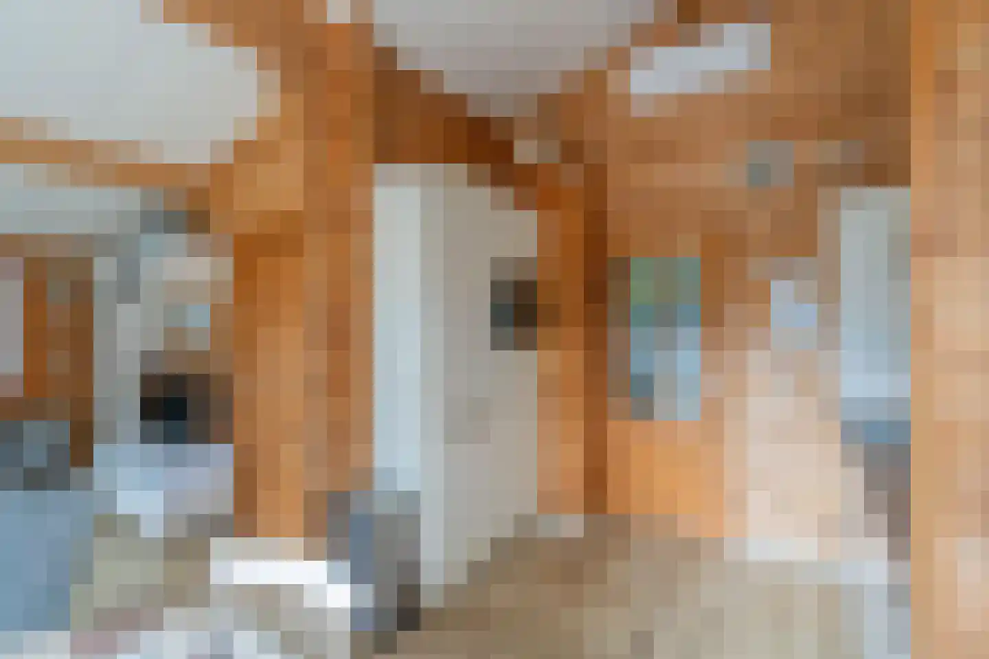 Korte Moermondsweg 23 0042 Renesse thumbnail 9