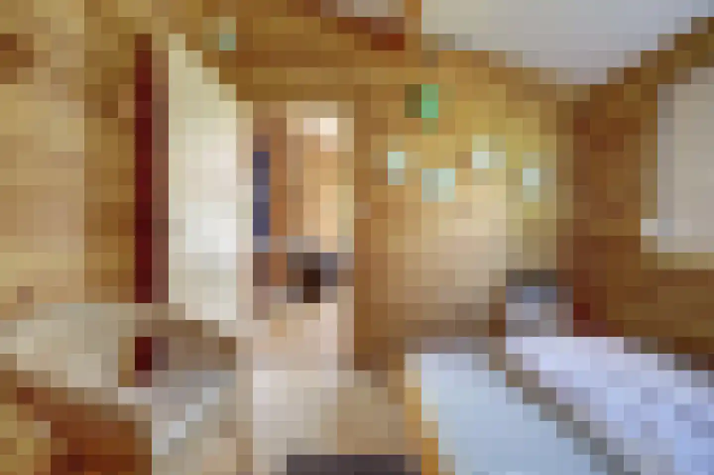 Korte Moermondsweg 23 0056 Renesse thumbnail 13