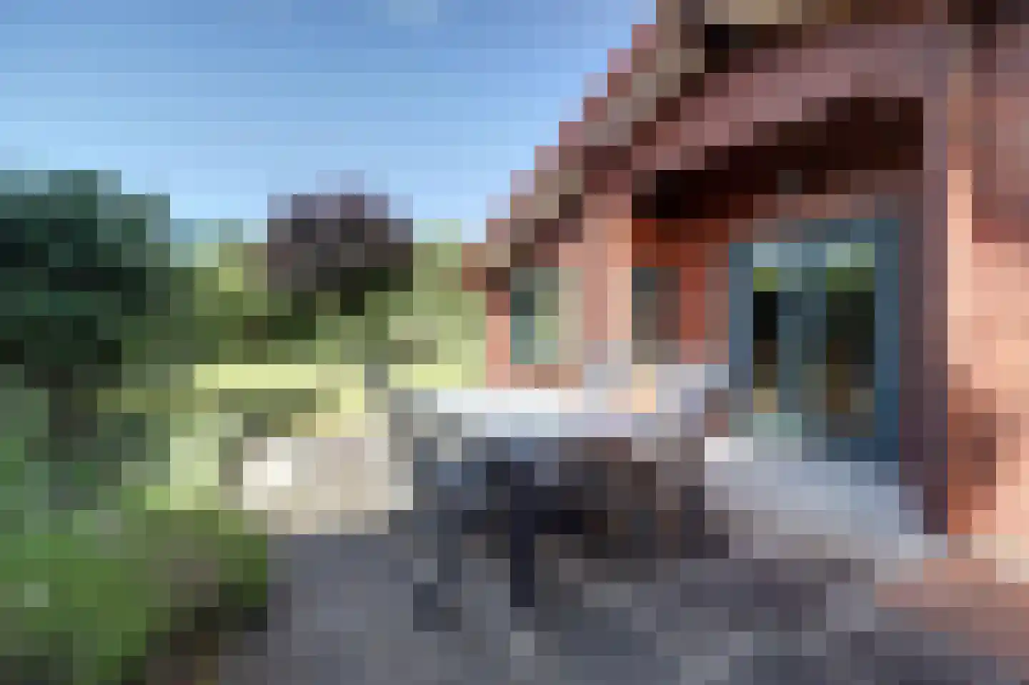Korte Moermondsweg 23 0056 Renesse thumbnail 18