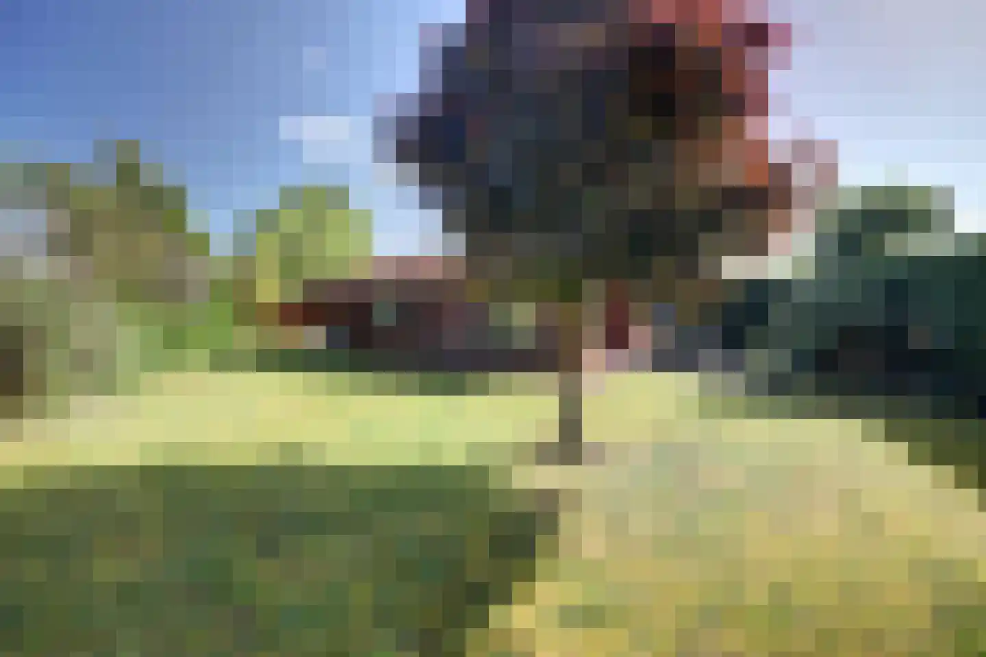 Korte Moermondsweg 23 0056 Renesse thumbnail 20