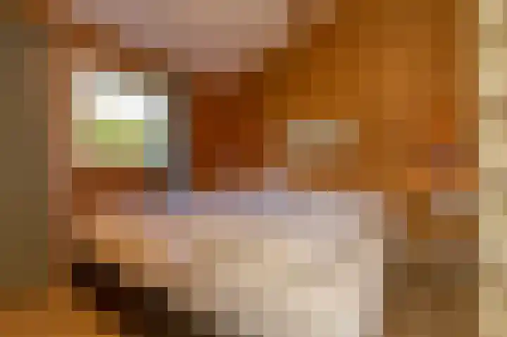 Korte Moermondsweg 23 0066 Renesse thumbnail 12