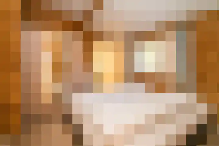 Korte Moermondsweg 23 0066 Renesse thumbnail 9