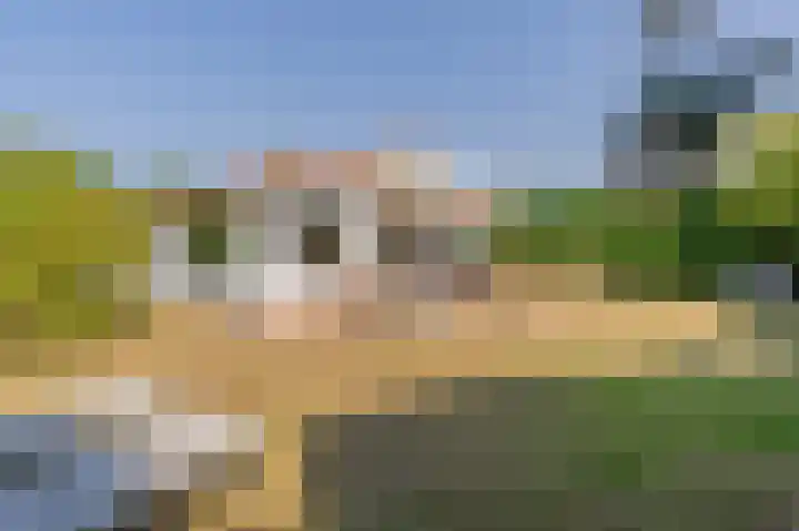 Korte Moermondsweg 23 0074 Renesse thumbnail 20