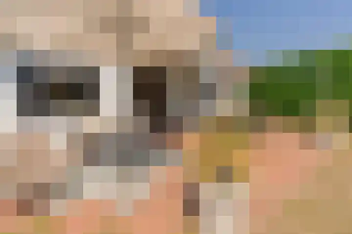 Korte Moermondsweg 23 0074 Renesse thumbnail 24