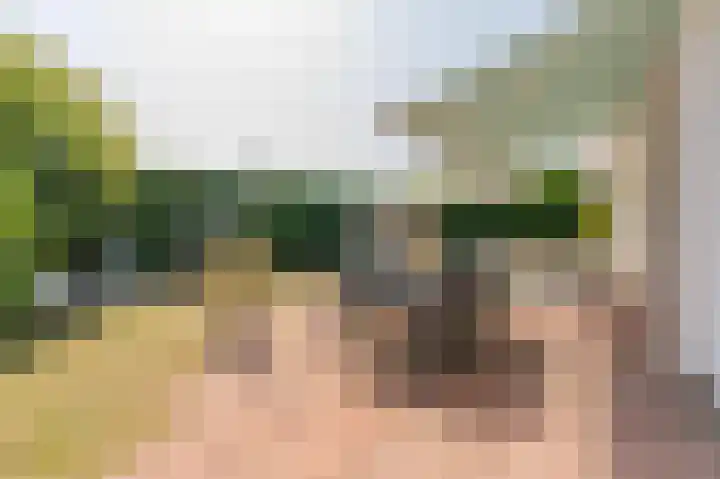 Korte Moermondsweg 23 0074 Renesse thumbnail 25