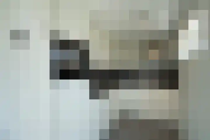 Korte Moermondsweg 5 K015 Renesse thumbnail 11