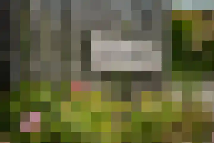Korte Moermondsweg 5 K015 Renesse thumbnail 22