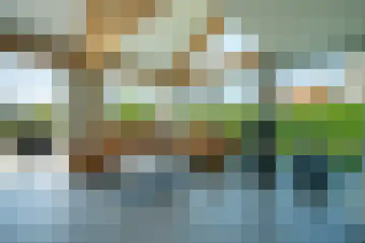 Korte Moermondsweg 5 K015 Renesse thumbnail 5