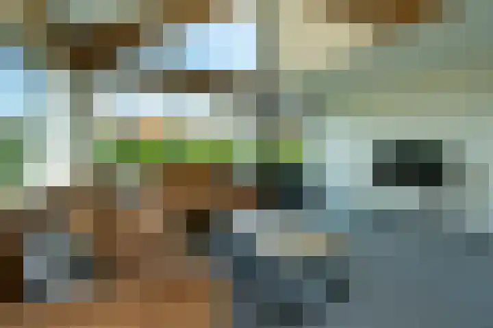 Korte Moermondsweg 5 K015 Renesse thumbnail 7