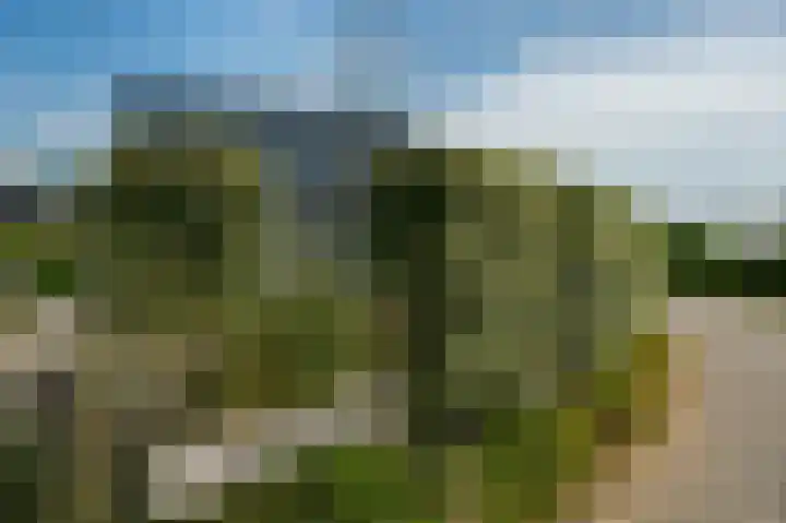 Korte Moermondsweg 5 K016 Renesse thumbnail 24