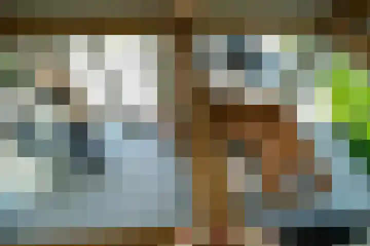 Korte Moermondsweg 5 K016 Renesse thumbnail 5