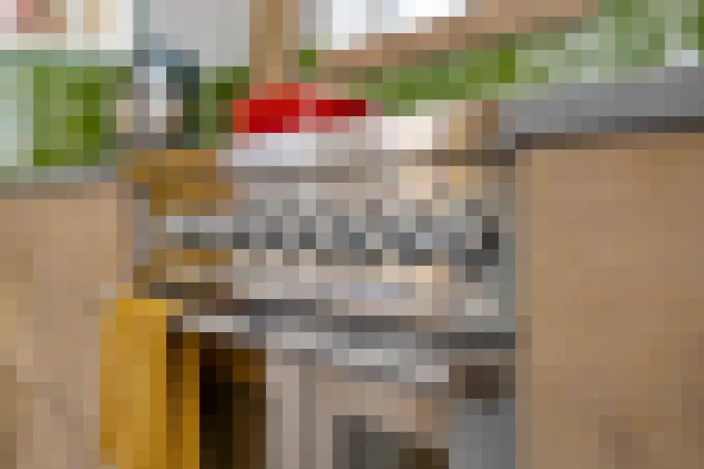 Korte Molenstraat 2 Driel thumbnail 15