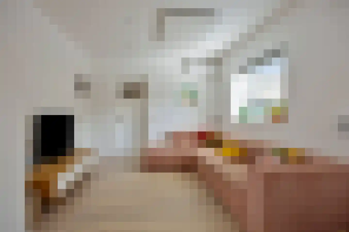 Korte Molenstraat 2 Driel thumbnail 21