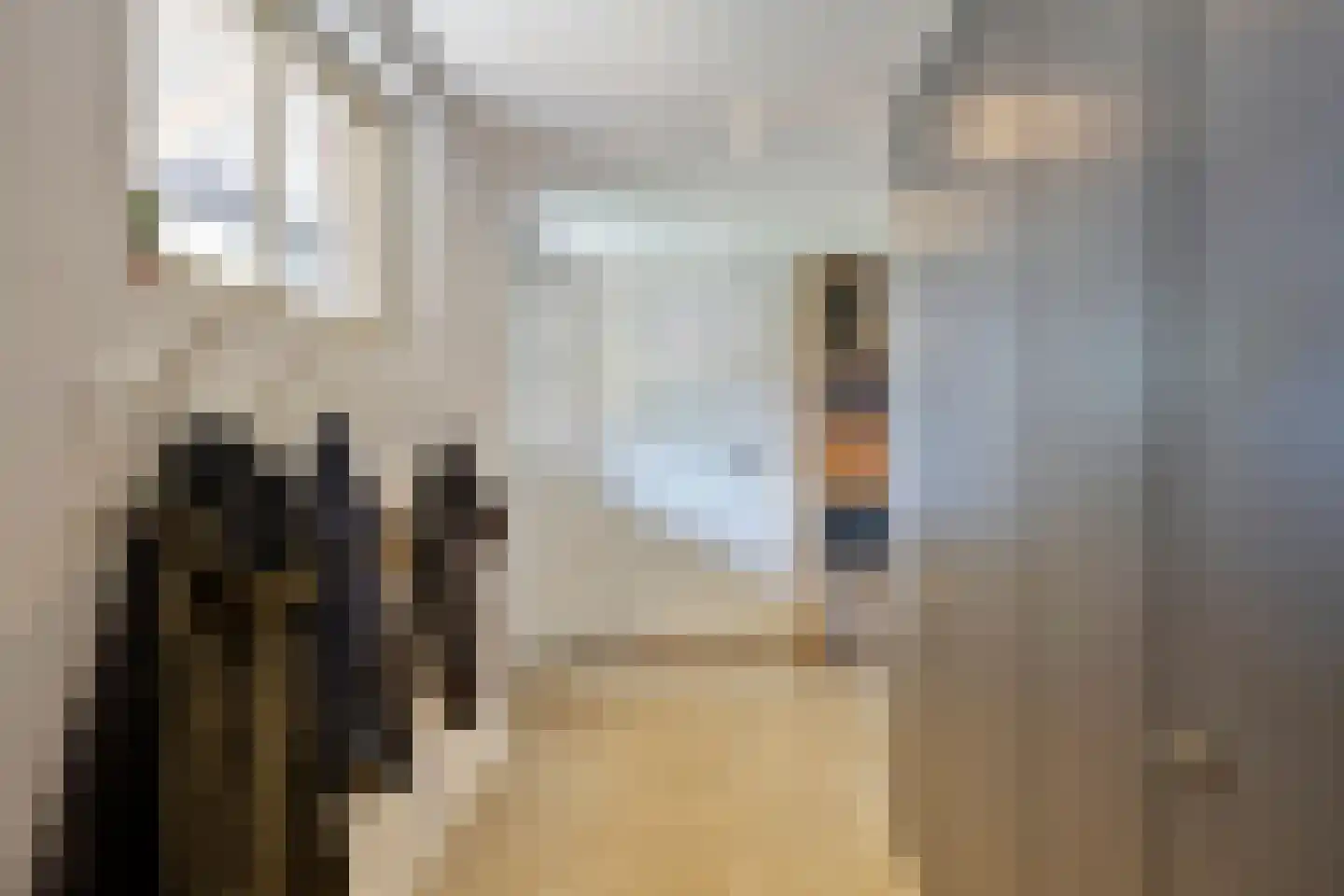 Korte Molenstraat 2 Driel thumbnail 22